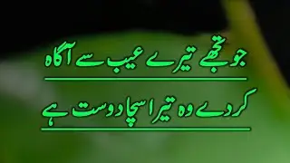 Sacha Dost - True Friend - Friendship Quotations 