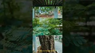 Cinematic 3 Layer Video - Shot on Google Pixel 7 4K 30 Fps