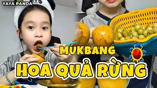 Mukbang Hoa Quả Rừng Si&ecirc;u Lạ V&agrave; C&aacute;i Kết | YAYA PANDA