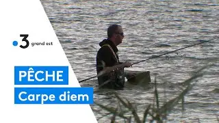 World Carp Classic 2021 : p&ecirc;che de la plus grosse carpe au lac de Madine