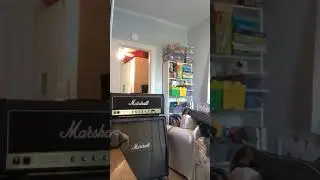 1981 Marshall JCM 800 2203 (Egnater modded)