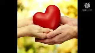 یونس جدایی سسینده نظری نینگ شیری بلن (1)