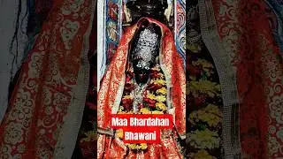 🌺आदिशक्ति दिव्य दर्शन 🔱।Maa Bhardahan Bhawani। Divine Darshan।#shorts #trending #shortsfeed