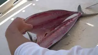 DEXTER RUSSELL 8 Inch Fillet Knife