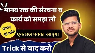 मानव रक्त (Human Blood) &ndash; RBC, WBC, Platelets, Blood Groups पूरी जानकारी |CTET/TET/Foundation Notes