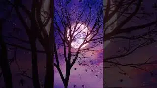 Sleep soundly #music #deepesleep #sleepmusic #sleep #moon #sleepmuisc #relaxationmusic #viralvideo