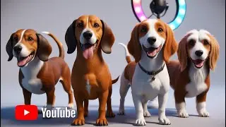 Today learn - Pharaoh Hound | Otterhound | Norwich Terrier | Dogs🌍|  Beautiful Earth