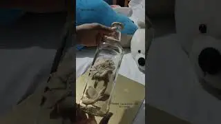 #trending#trendingnow#diy#craft#art#artandcraft#viralvideo#viralreels#video#ytvideo#handmade