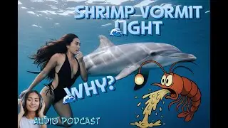 Modern Science Meets Surf - Audio Podcast with Moana & Darwin the Dolphin