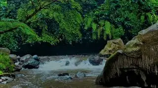 Nature Sounds for Sleep | River Flow and Birds Singing (8&ndash;10 Hours)