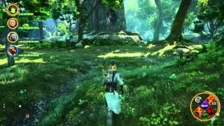 Dragon Age&trade;: Inquisition - The Parson's Battered Notebook puzzle at Emerald Graves