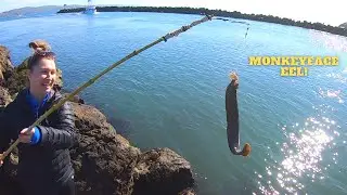 Making a Poke Pole and Catching Fish off the Rocks!