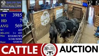 🔥 Arkansas Cattle Auction LIVE | Pruitt&rsquo;s Mid-State Stockyards &ndash; Damascus Market Run (Nov 24, 2025)