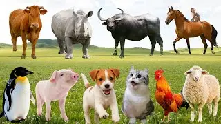 🌿 Thi&ecirc;n Nhi&ecirc;n Đồng Qu&ecirc; Cất Tiếng &ndash; B&ograve;, G&agrave;, Ch&oacute; & M&egrave;o Dệt N&ecirc;n Giai Điệu Dễ Thương | FarmAnimals 🐄🐶🐐🐱