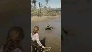 not real