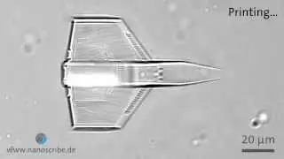 Microscale 3D printing of a spaceship