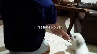 Basic tricks sa aso namin na si 17...ako at ang anako ko
