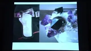 Evergreen Art Lecture Series - Debra Baxter