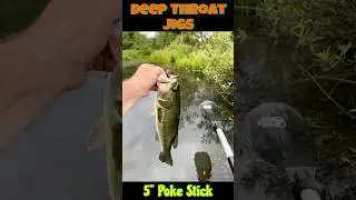 Fishing the Poke Stick - Deep Throat Jigs #shortvideo #shorts #ytshorts #short #fish #nature #bass