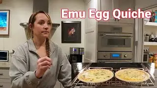 Let's Make an Emu Egg Quiche