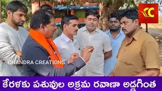 పశువులను అక్రమంగా కేరళకు రవాణా చేస్తుంటే Palamaneru Hindu communities stop illegal cattle smuggling