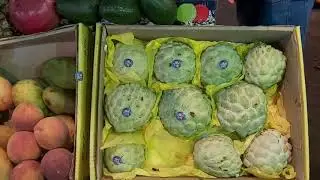 Dahar Gem&uuml;semarkt und Orientalischer Markt | #&Auml;gyptenVlogFamilie