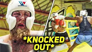 SHOCKING REPORT! Jake Paul DROPPED in Camp by Heavyweight Sparring Partner Ahead of AJ Fight! 😱🥊