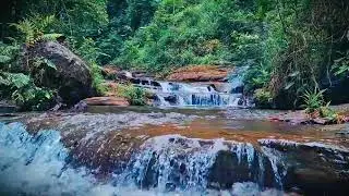 Mountain River Waterfall Flowing | Water Sounds, Nature White Noise, River Sounds for Sleeping