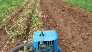 Ransomes MG5 Crawler and our Potatoes 2011