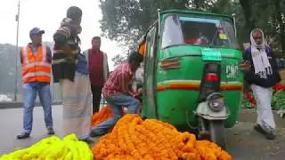Shabag Flower Business & Market