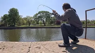 $10 Dollar Rod