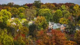 Check out this timelapse video of leaves changing in Ann Arbor