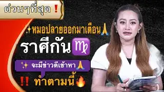 ‼️ หมอปลายออกมาเตือน✨ ราศีกันย์♍️ จะมีข่าวดีเข้ามาหา✨ #ดูดวง 2569
