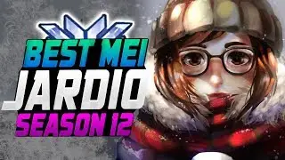 Jardio - BEST MEI IN THE WORLD! 12 Blizzard Elims! [ SEASON 12 TOP 500 ]
