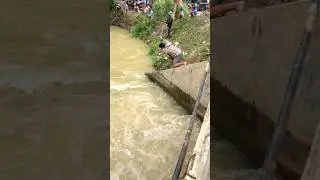 Real Life 100% Net Fishing In River At The Countryside (Part 1255) #fishing #fish #new