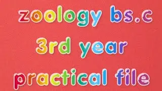 B.Sc 3rd year Zoology practical file l Quick Review l 2022 l Latest Video in Hindi.