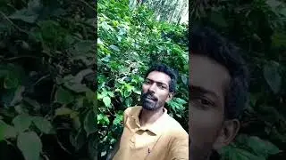 YAPPI BIRTHDAY AKSHAY ANNA BIRTHDAY||COFFEE NADU CHANDU TROLL