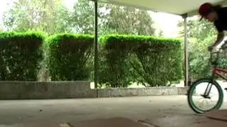 First Barspin