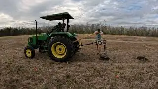 Planting Murray Cypress Christmas Trees