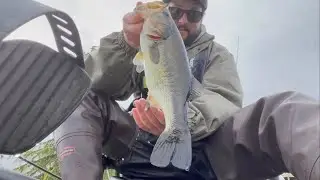 Washington State Spring Bassin
