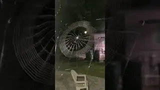 SubhanAllah 😍 This is how spiders make webs🕷️ 🕸️ #viral #video #viralvideo #shortvideo #spider #web