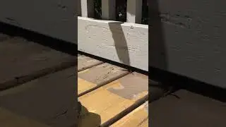 Quick Way to Take paint off Your Deck