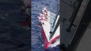 1 Box Rule &ndash; 13 Boats