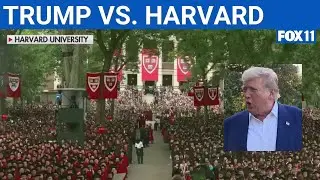 Trump administration: Harvard failed to protect Jewish students  | FOX 11 LA