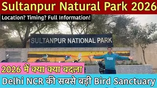 Sultanpur National Park Gurgaon || Sultanpur Bird Sanctuary Gurgaon 2026 || Bird Sanctuary 