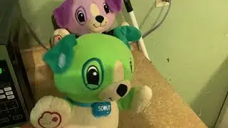 Vote for Scout or Violet! Like or Dislike | My my pal Scout