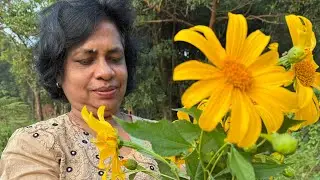 Talking Wasanthi  is live කන්තලේ රජ ඇල ගමට
