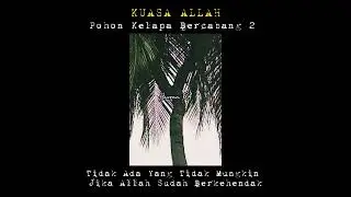 KUASA ALLAH || Pohon Kelapa Bercabang 2 #kuasaallah #kelapakembar