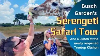 Busch Gardens’ Serengeti Safari - yes we fed Giraffes!