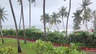 GOA Rain....🌊🏖⛱️🌧 #rain #raining #goa #goabeach #goarain #trending #like #subscribe #shorts #weather